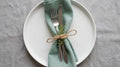 Rustic Dusty Seafoam Linen Napkins